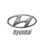 Hyundai IPO allotment status page showing share allocation details.