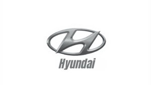 Hyundai IPO Allotment Status Logo