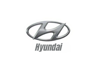 Hyundai IPO allotment status page showing share allocation details.