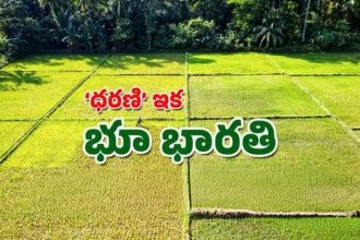 A visual representation of the National Informatics Center managing digital land records.