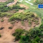 Telangana High Court orders halt on Kancha Gachibowli land activities