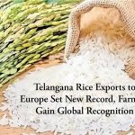 Telangana Rice Exports to Europe
