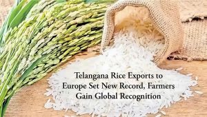 Telangana Rice Exports to Europe