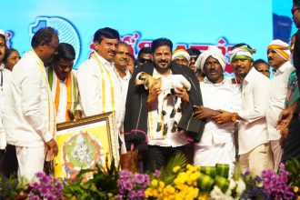 Telangana district reorganization