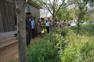 Ananya Resort mahavir harina vansthali national