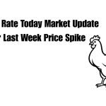 chicken rate today