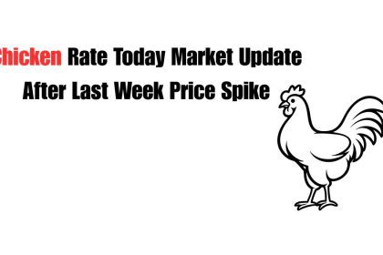 chicken rate today
