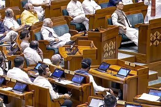 Lok Sabha voting