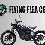 flying flea c6