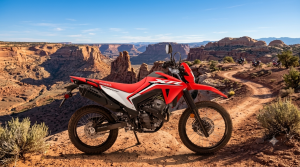 Honda XR 300L