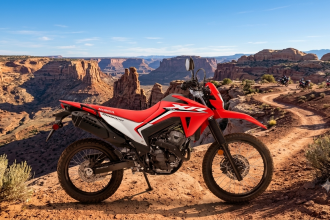 Honda XR 300L